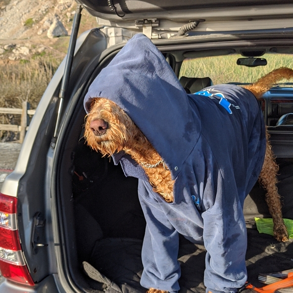 Meet your Posher, Posh - Picture 2 of 3